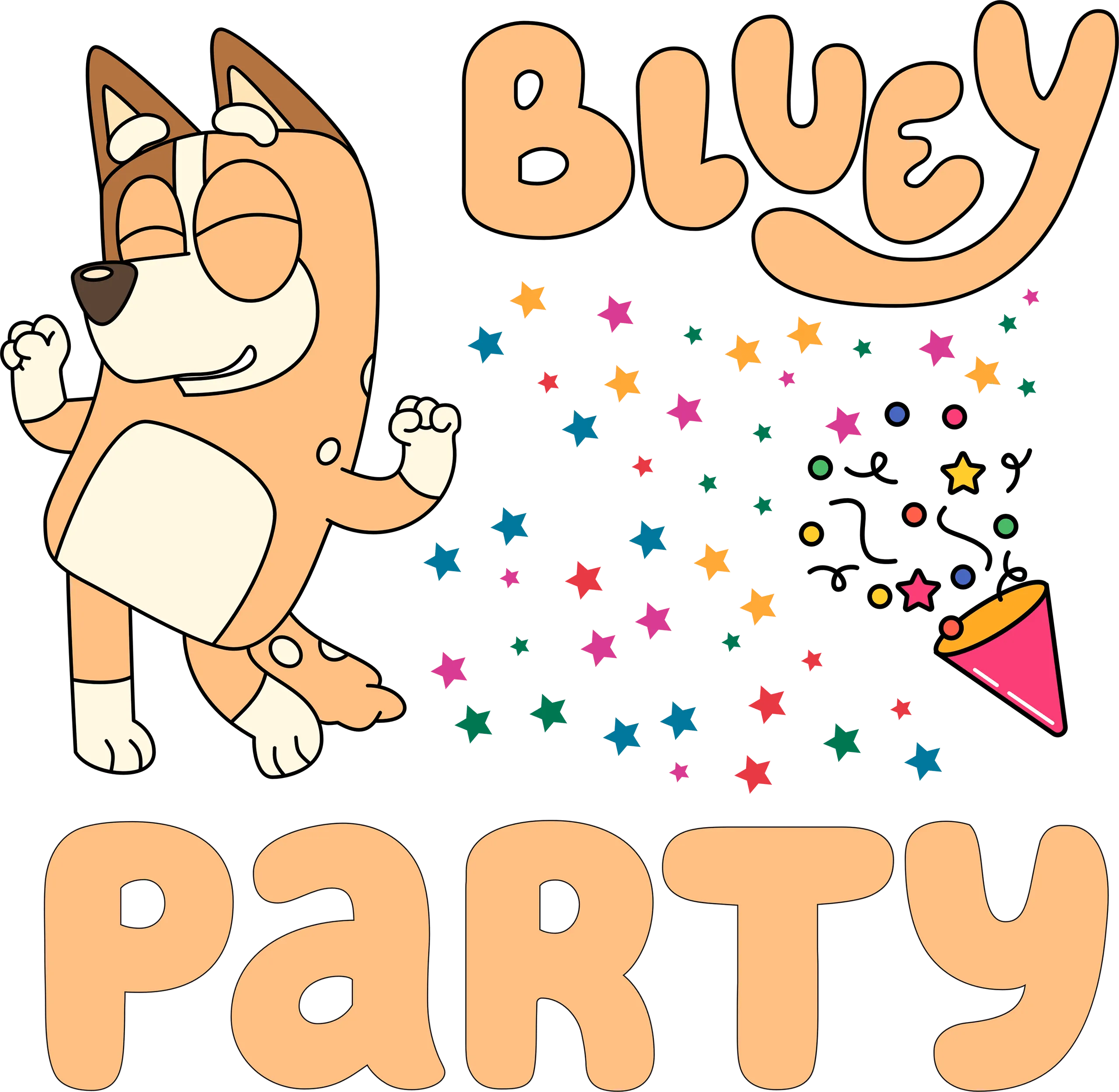 BLUEY PARTY