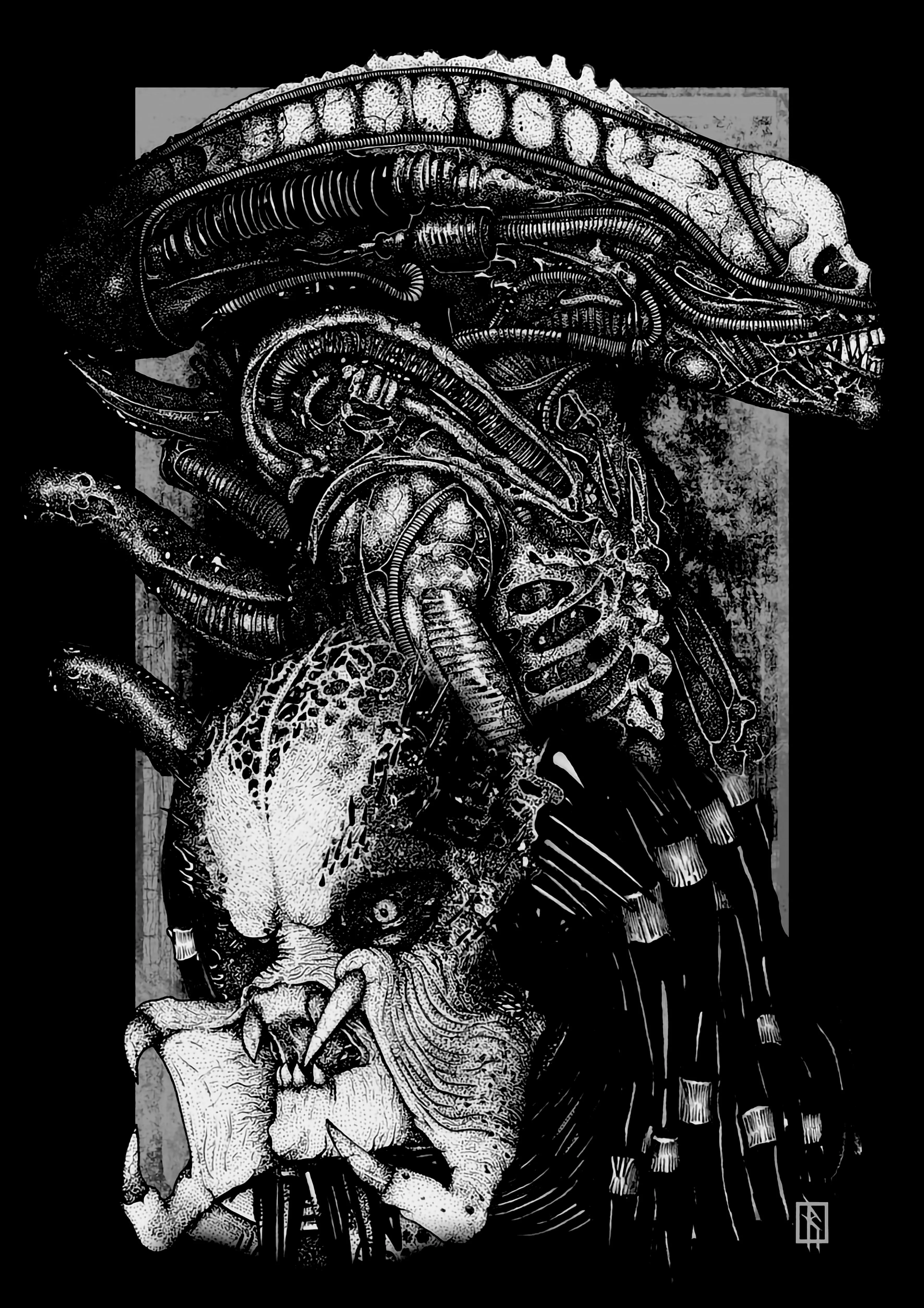 ALIEN V PREDATOR